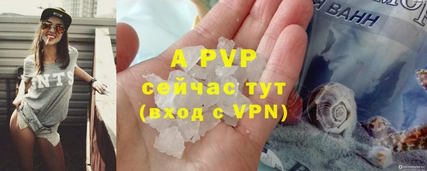 молекула духа Елабуга