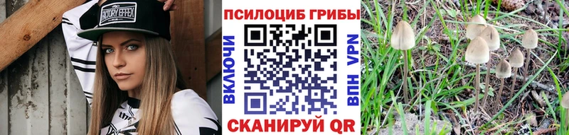 Псилоцибиновые грибы Psilocybe  Плёс 
